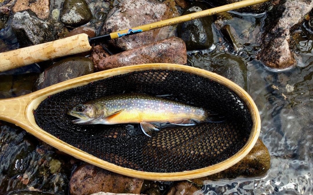 Tenkara rod review- TFO “Cutthroat”  8’6″