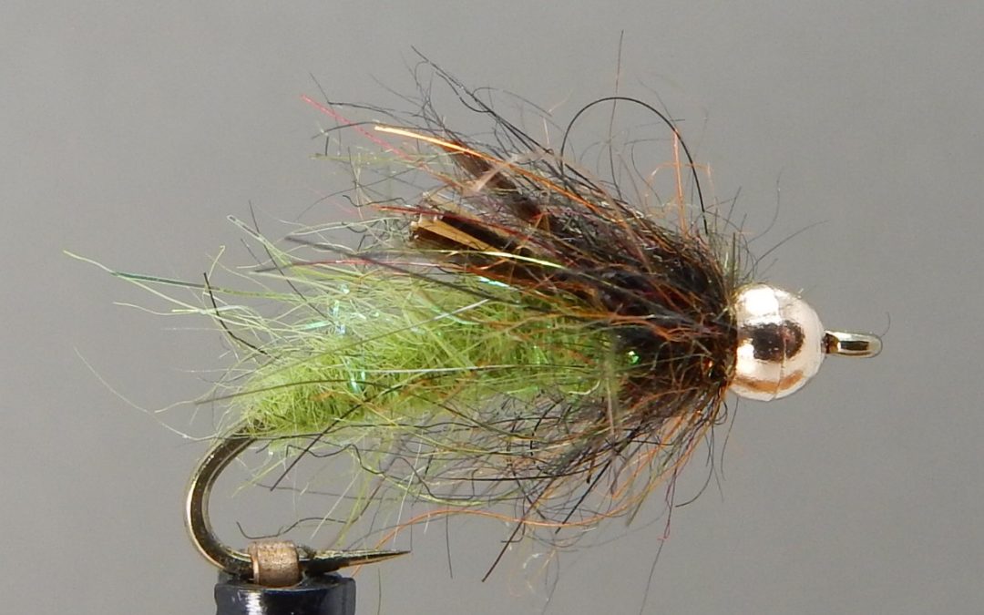 Clark Creek Caddis