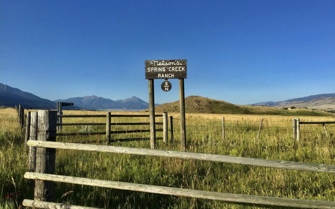 Nelson’s Spring Creek Ranch